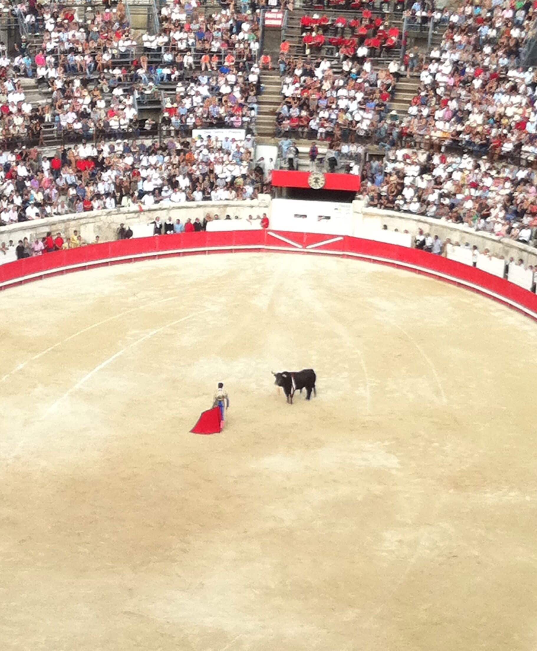 First and last bullfight! It was one for the books but such a sad sport. 

#ICriedfortheBull #FeriaDesVendanges #festival #france #europe #bullfight #red #adventure #backpacktour