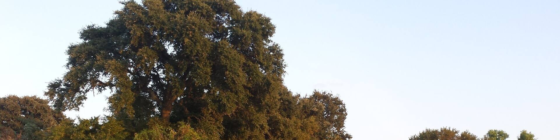 A nice spot to watch the hot, Texas sunset.