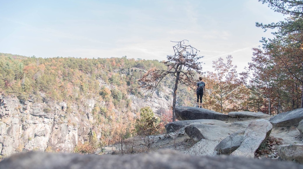 You feel so small standing so tall, looking down at all that Earth! You NEED to check this out :)
