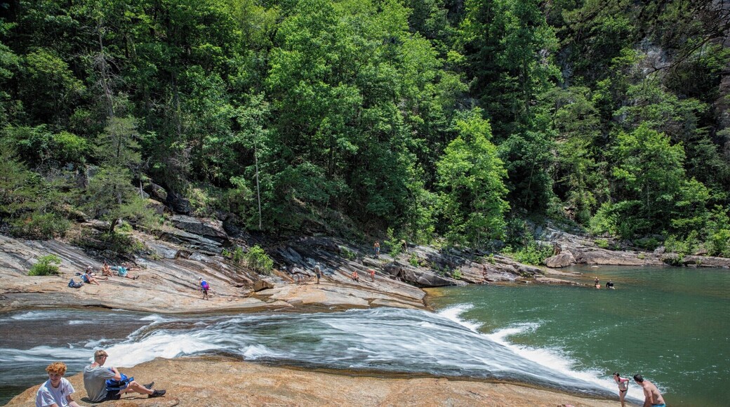 This is Bridal Veil Falls on the Tallulah River at the bottom of Tallulah Gorge on a hot June day. Even though it's a steep climb down into the gorge, many young kids and teenagers love to come here to slide down Bridal Veil Falls into the pool below. The problem - the quarter mile climb out is extremely steep and more like a rock climb than a hike.