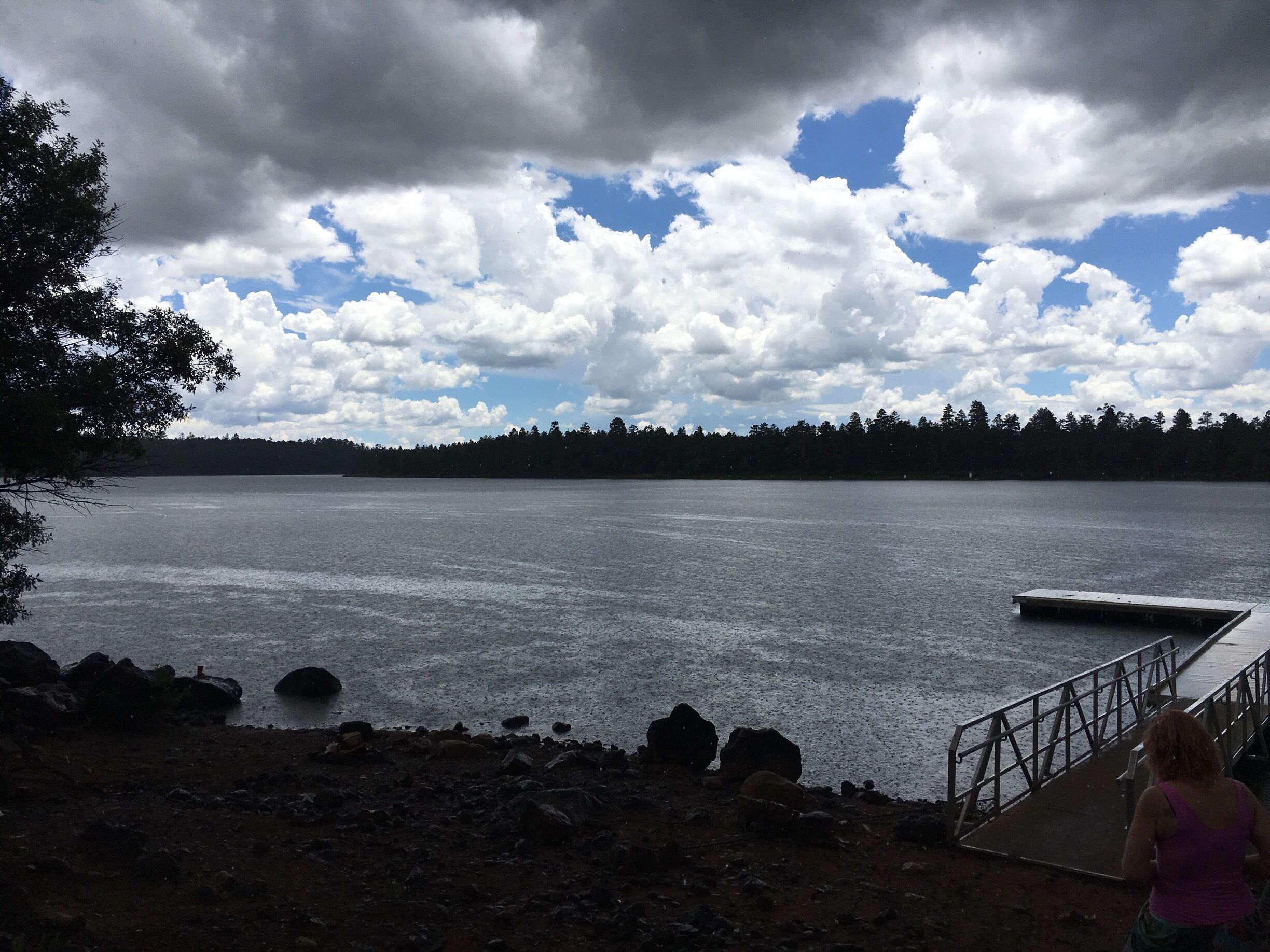 Pretty lake in Show Low. We went to feed the ducks but it was pouring out