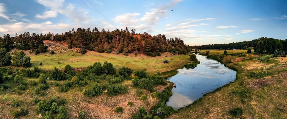 A river meandering through a forested landscape with a clear sky.