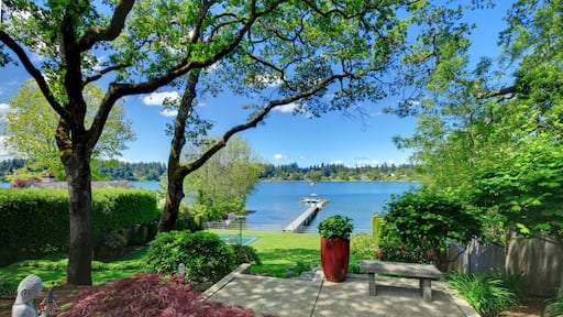 Tennis court with lake and bright green grass.