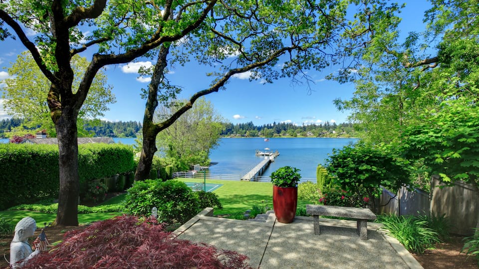 A serene lakeside garden with a bench, a large tree, and a view of a dock extending into the water.