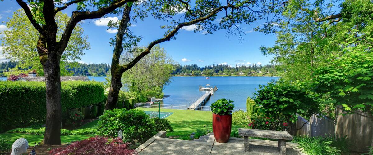 A serene lakeside garden with a bench, a large tree, and a view of a dock extending into the water.