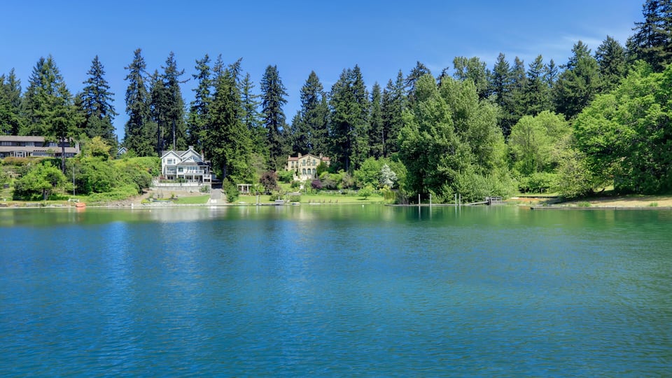 A lake surrounded by dense forest and two large houses.