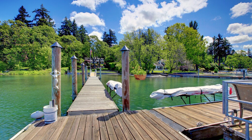 Lake with long wood pier and private party raft.