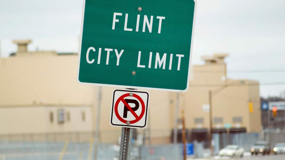 A 'FLINT CITY LIMIT' sign with a 'No Parking' symbol below it.