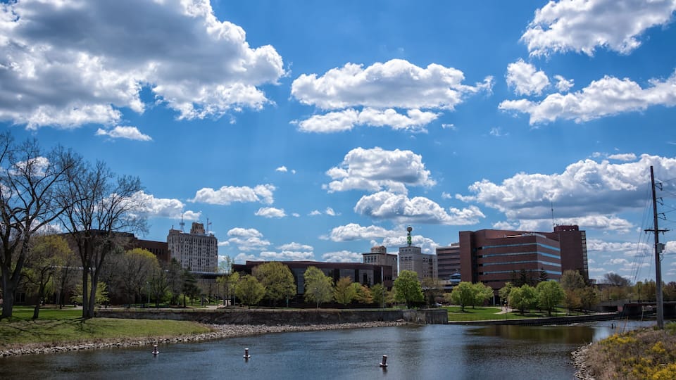 A river with ducks, a park with trees, and buildings in the background.