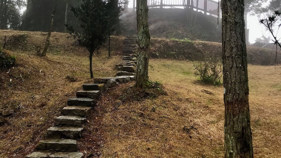 @Guling Forest, Fuzhou China.
Taken a few days before the park was closed to the public due to the coronovirus outbreak in China. This park has gorgeous views of the mountains (when it isn't foggy) - but the fog added a special ambience that made this walk a treat.