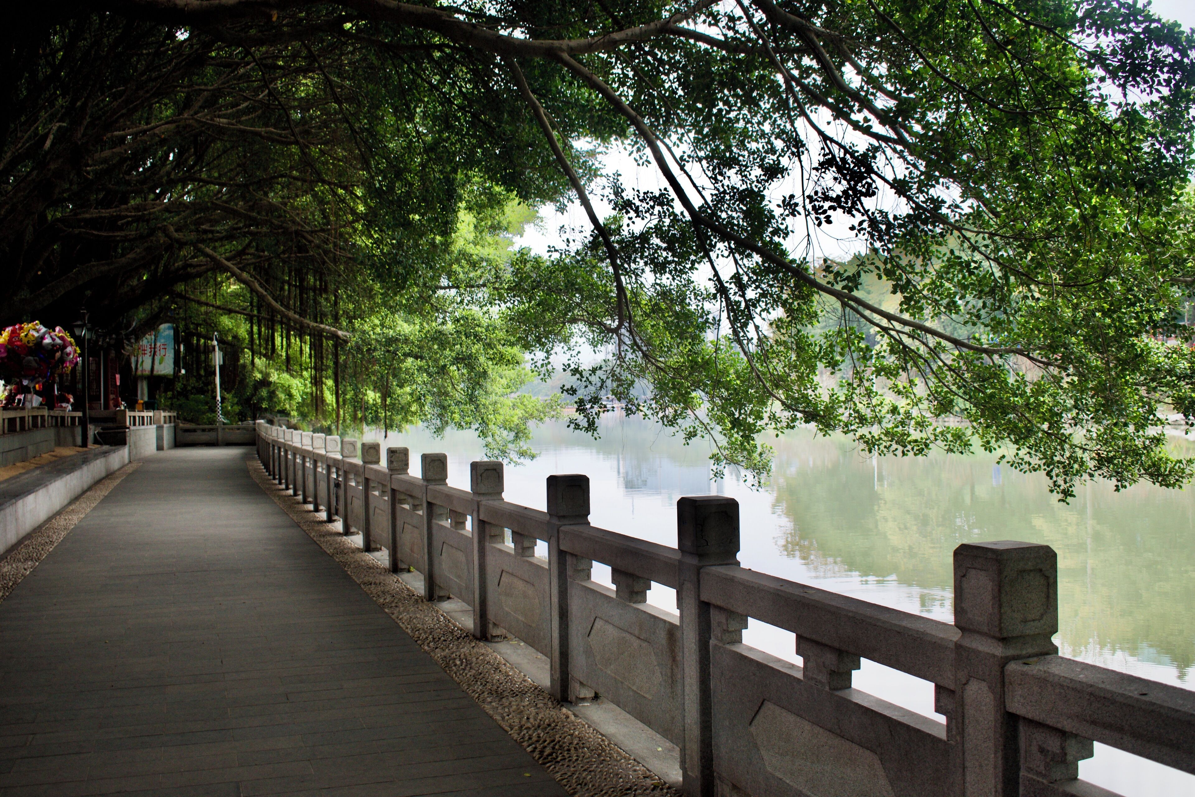 @West Lake (Xihu) Park in Fuzhou, China. 

A beautiful park where locals come to play games, do tai chi, etc. Many, many "long shu" -beautiful trees with hanging branches that seep into the ground - the type of tree that Fuzhou is known for. 