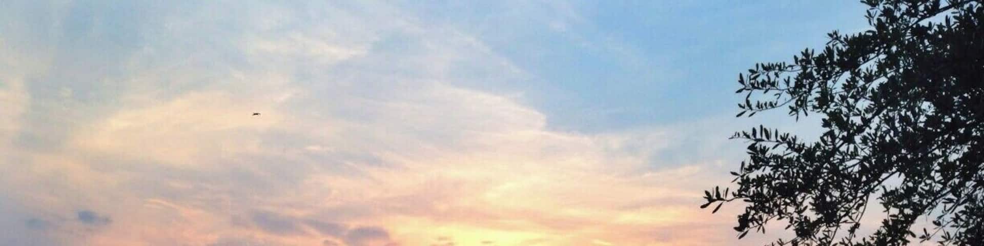 On a short vacation to visit family my boyfriend and I drove through the dying light, sunburnt and tired, until we found a place to eat. Climbing out of the car we saw this view from the parking lot of Ukulele Brand's restaurant.
We were able to sit outside on a dock that had fans blowing and keeping us cool despite the humid air. It seems, at least at this location (maybe state wide?) that you can smoke outside but with the fans it didn't bother me (I am allergic to cigarette smoke). There was a live (great!) band and while the service was a little slow, the food was great.
If you are looking to relax and not rush through a meal, this is definitely the place to go. We sipped on drinks, dined on delicious food, and enjoyed the sunset while live music played -- the perfect end to a beach day.