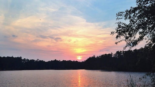 On a short vacation to visit family my boyfriend and I drove through the dying light, sunburnt and tired, until we found a place to eat. Climbing out of the car we saw this view from the parking lot of Ukulele Brand's restaurant.
We were able to sit outside on a dock that had fans blowing and keeping us cool despite the humid air. It seems, at least at this location (maybe state wide?) that you can smoke outside but with the fans it didn't bother me (I am allergic to cigarette smoke). There was a live (great!) band and while the service was a little slow, the food was great.
If you are looking to relax and not rush through a meal, this is definitely the place to go. We sipped on drinks, dined on delicious food, and enjoyed the sunset while live music played -- the perfect end to a beach day.