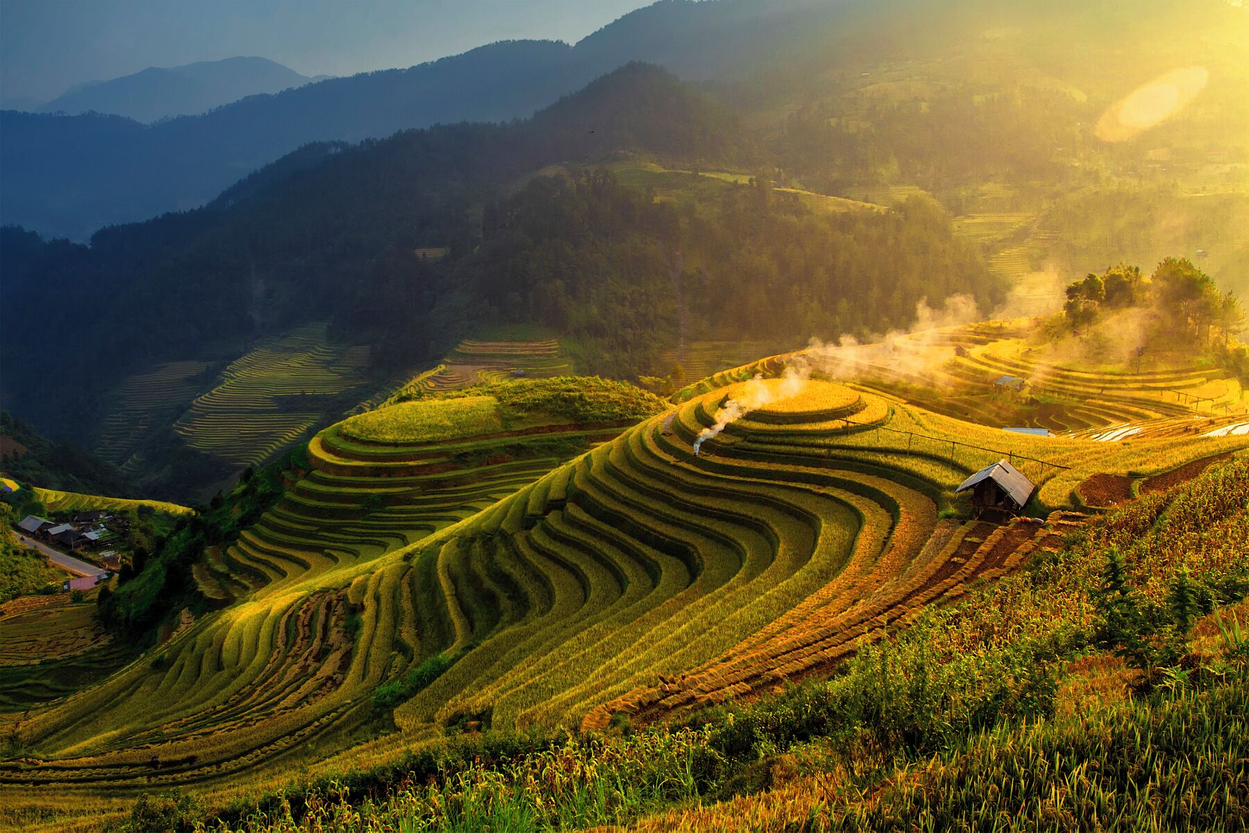 Terraced rice fields