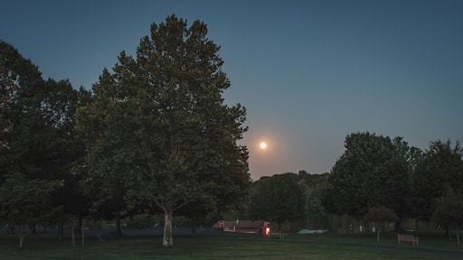 The Full Moon (7.31.15) rising next to a “Moon Tree.” Astronaut Stuart Roosa brought a capsule of 500 seeds with him during the Apollo 14 Mission. They orbited the moon in the command module and were eventually germinated back here on Earth. This sycamore tree was planted in 1976 at Core Creek Park in Newtown/Langhorne PA.
#corecreekpark #pennsylvania #park #buckscounty #moon #moontree #landscape #fullmoon #moonrise #parks #history