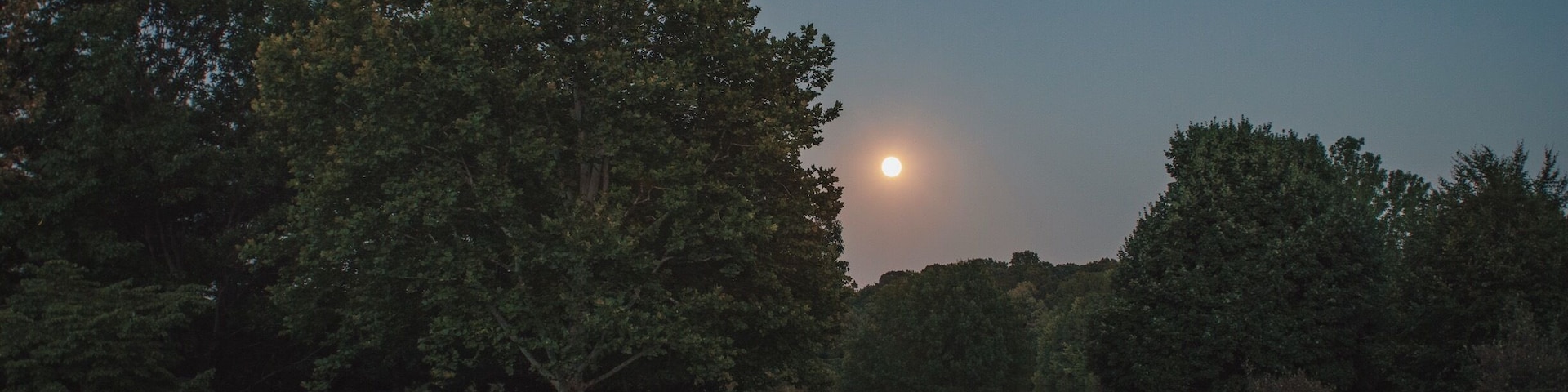 The Full Moon (7.31.15) rising next to a “Moon Tree.” Astronaut Stuart Roosa brought a capsule of 500 seeds with him during the Apollo 14 Mission. They orbited the moon in the command module and were eventually germinated back here on Earth. This sycamore tree was planted in 1976 at Core Creek Park in Newtown/Langhorne PA.
#corecreekpark #pennsylvania #park #buckscounty #moon #moontree #landscape #fullmoon #moonrise #parks #history