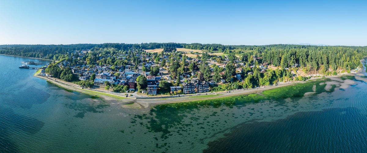 An aerial view of a coastal town with dense housing, a pier, and a river.