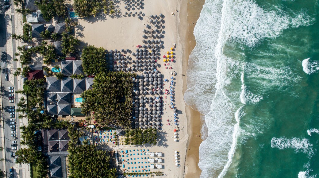 A beach with umbrellas, lounge chairs, and palm trees.