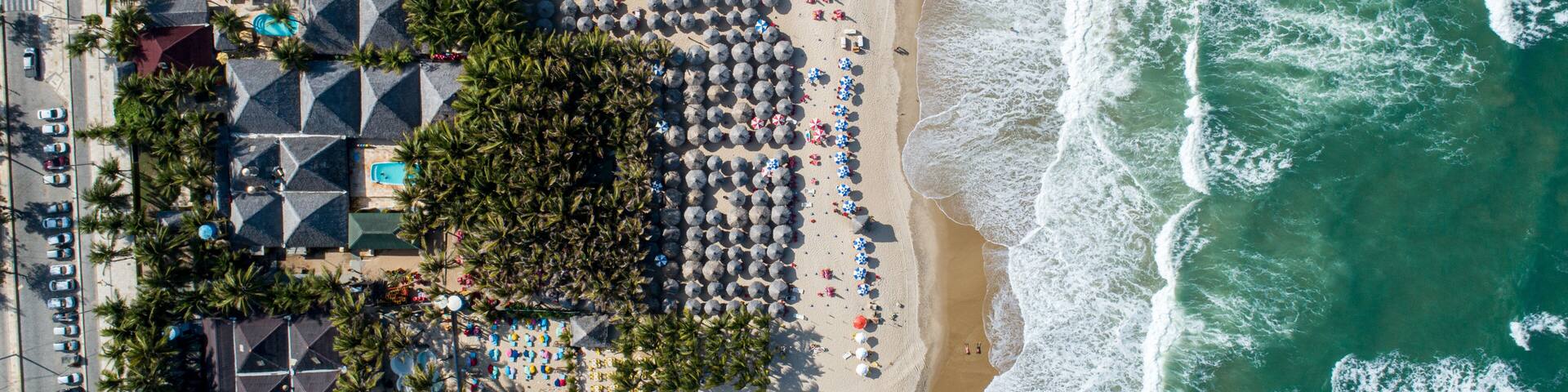A beach with umbrellas, lounge chairs, and palm trees.