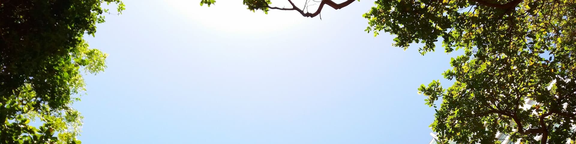 The green heart of town. Parque do Cocó - Fortaleza, Brasil.