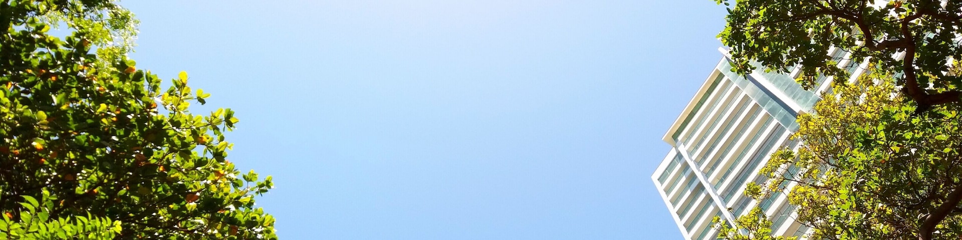 The green heart of town. Parque do Cocó - Fortaleza, Brasil.