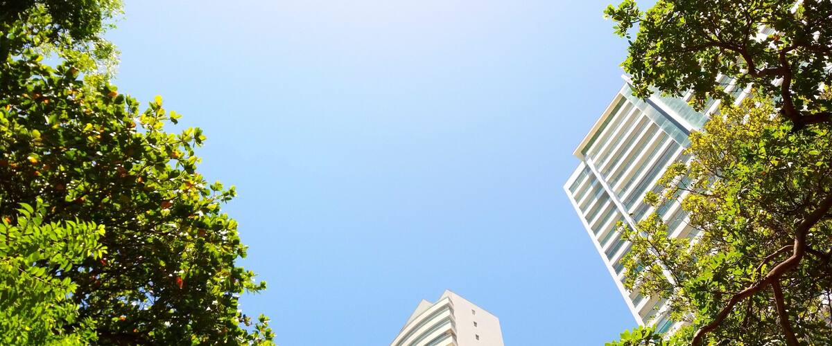 A view of two modern high-rise buildings framed by lush green trees and a clear blue sky.