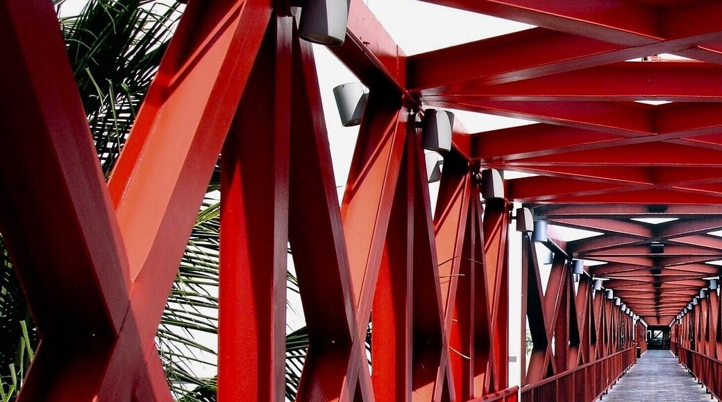 #Red #DragaoDoMar #Fortaleza #Ceara
O Centro Dragão do Mar de Arte e Cultura é ponto obrigatório em uma visita a Fortaleza. Eventos culturais, exposiçÔes, etc.