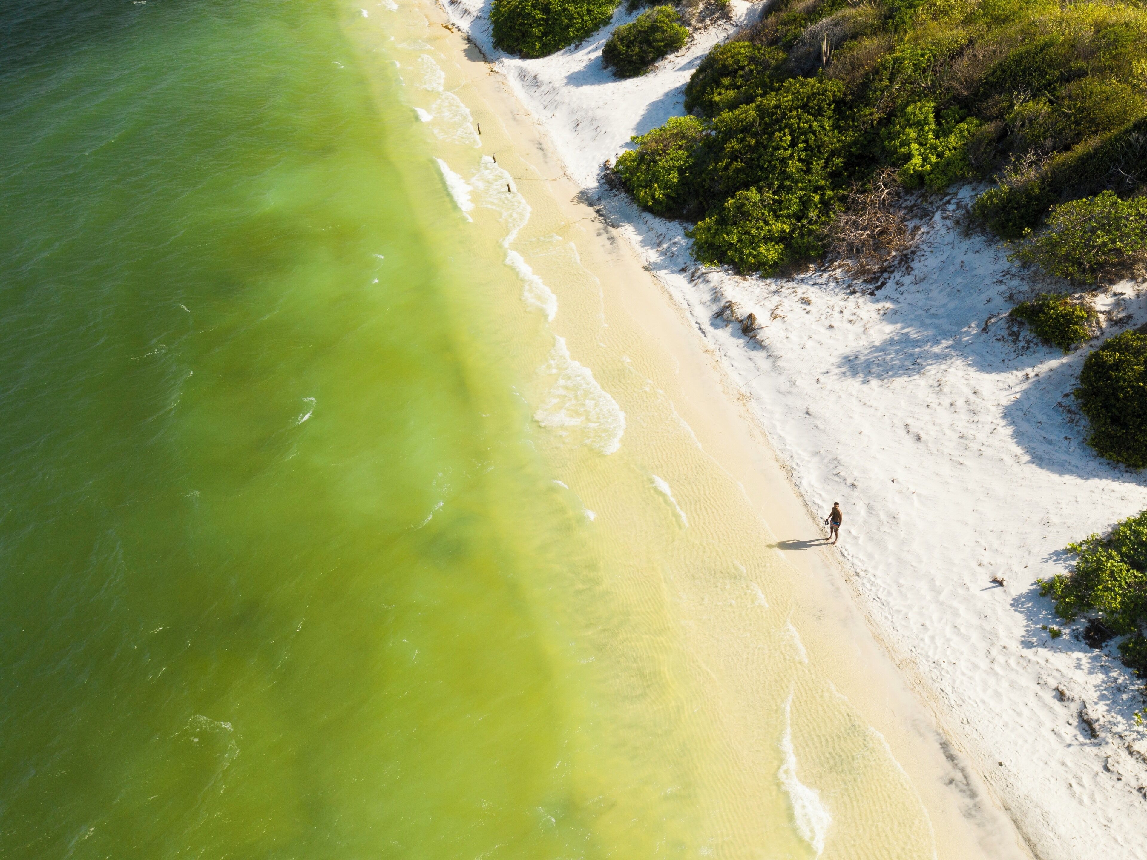 Emerald looking lagoon in Jericoacoara