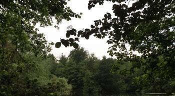 instagram: alicia_lehmann