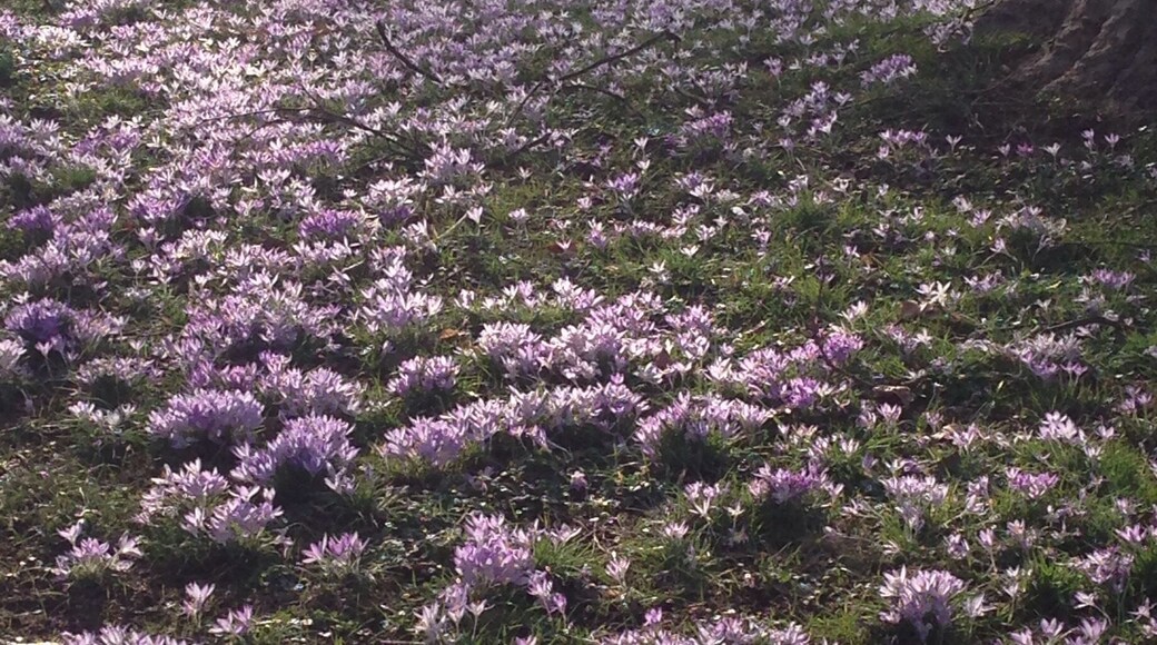 Frühling in den westlichen Vororten!