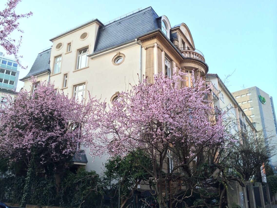 Spring comes to Europe!