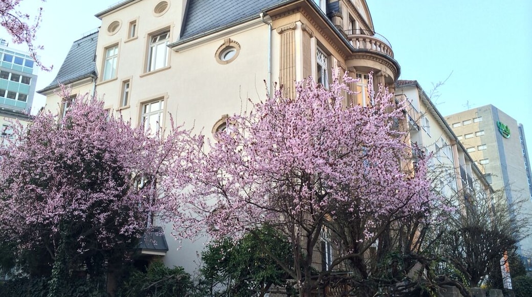 Spring comes to Europe!