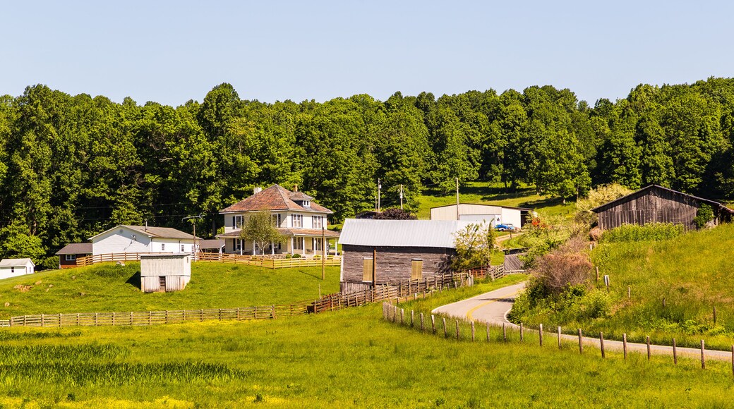 Two Story House and auxiliary buildings on hillside of Southern Virginia farm.
