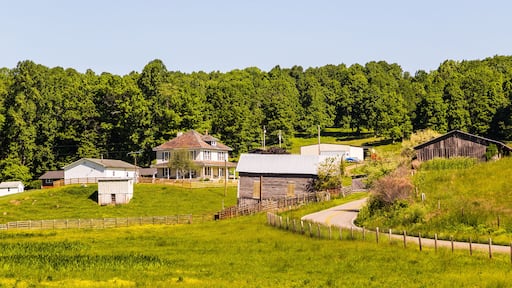 Two Story House and auxiliary buildings on hillside of Southern Virginia farm.