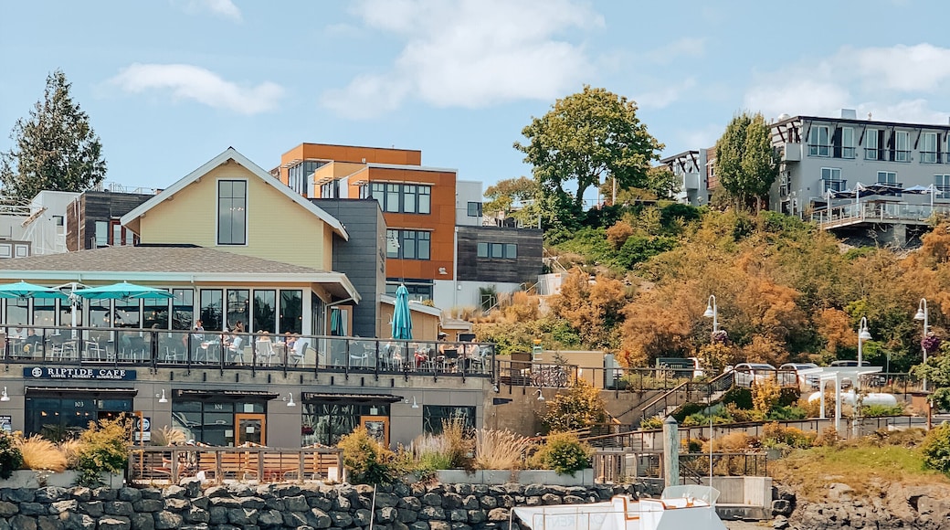 The view getting off the ferry at Friday Harbor in San Juan Island. The perfect weekend getaway in western Washington!
If you’re driving, you can drive on the ferry from Anacortes. However, for a quicker trip from downtown Seattle, you can walk on the Clipper at the Seattle waterfront (no cars) and sail all the way directly to Friday Harbor! If you’re lucky, you may see some orcas - I saw about a dozen, including calves jumping out of the water when I went in July last year!
Friday Harbor is a fun little seaside town with lots of little cafes and shops.