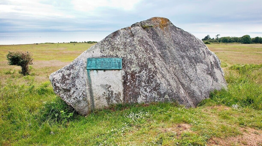This large glacial erratic sits near the redoubt at American Camp. It was left here by a receding glacier more than 10,000 years ago, and now bears a Daughters of the American Revolution plaque dedicated to Lt Henry Robert. In 1859 Robert was in the US Army Corps of Engineers when he designed and supervised the construction of a redoubt (earthwork) to protect American Camp from British warships. Both countries lay claim to San Juan Island at the time, and tensions ran high after a Hudson’s Bay Company pig was killed by an American farmer. You can read more about the Pig War here:
http://www.nps.gov/sajh/historyculture/upload/2012-American_Camp_History_Walk_online_color.pdf