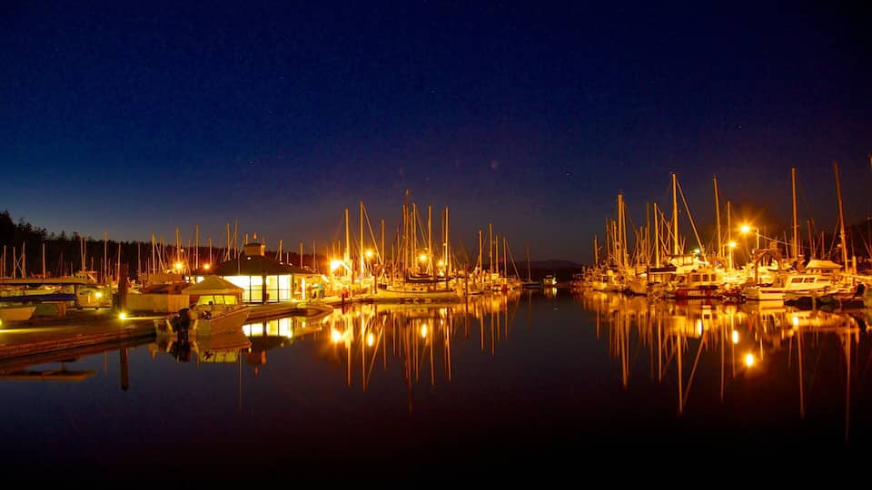 A marina at night with numerous boats docked and illuminated by lights.