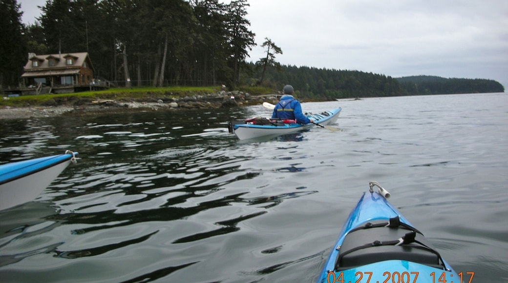 Kayaking and looking for whales. I booked a tour and since it was early in the season we had the guides to ourselves! It was one of the best tours of nature I've ever had. We even saw killer whales hunting seals but sadly I could not capture then in picture.