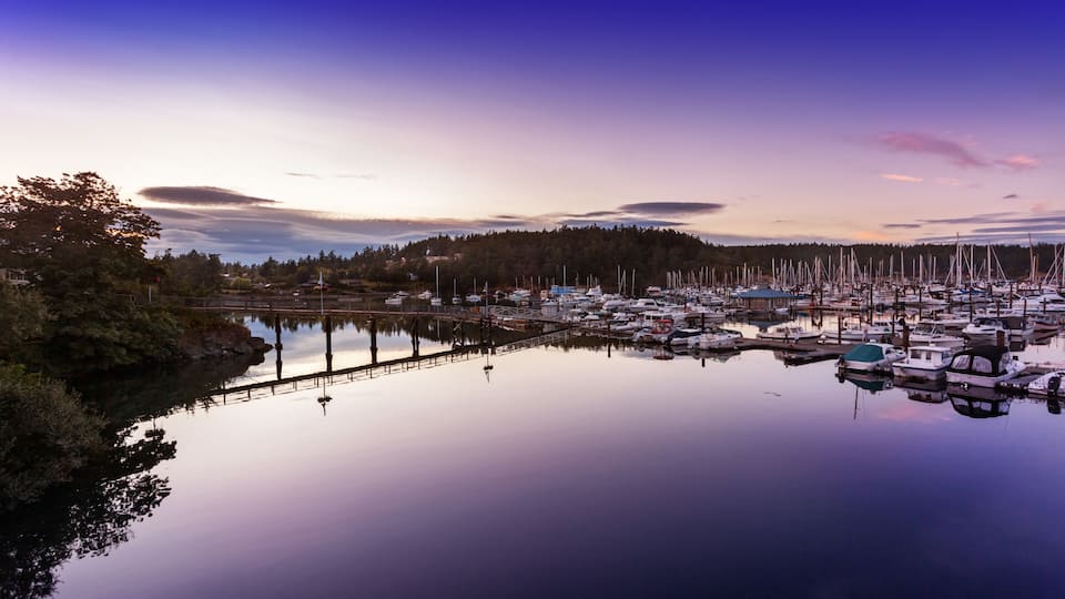 A marina with boats docked at calm water, surrounded by trees and a forested hill in the background.