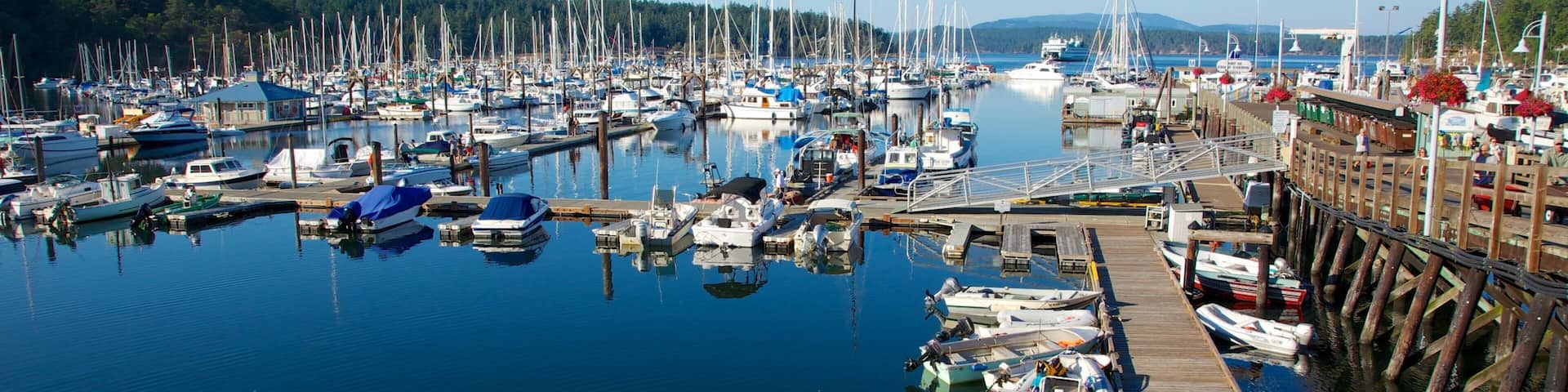 Ilha de San Juan caracterizando canoagem, vela e uma baía ou porto