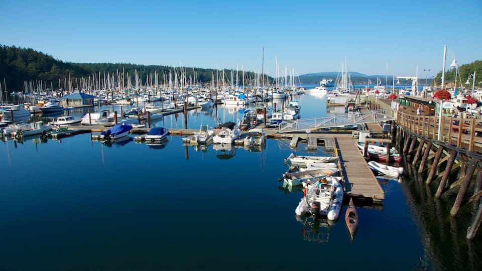 A marina with numerous boats docked, a wooden pier, and a forested hill in the background.