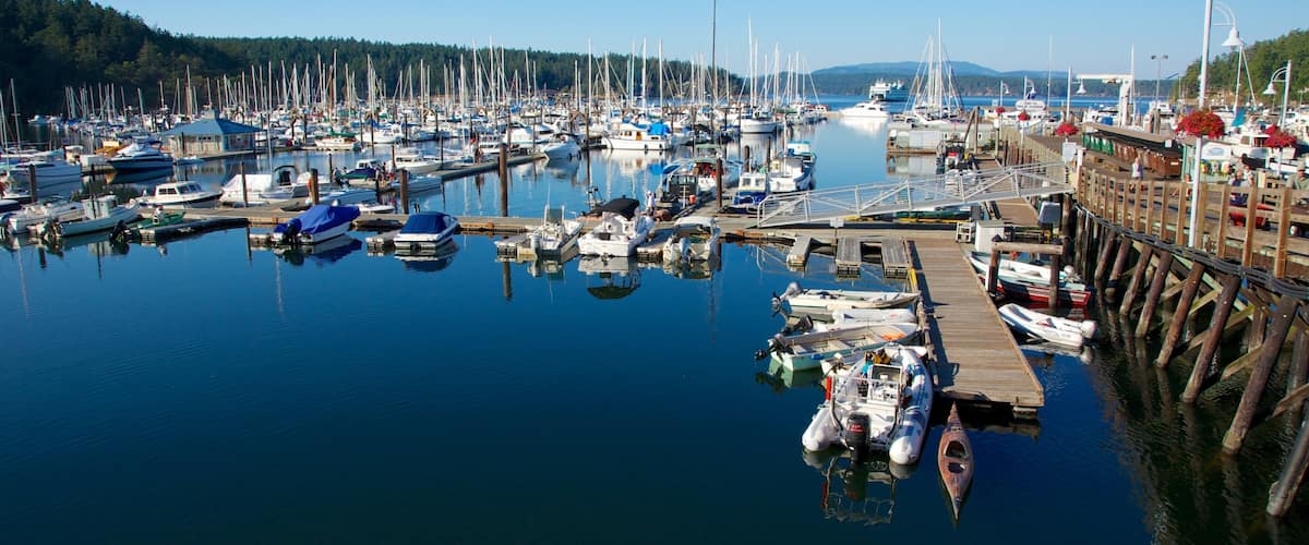 San Juan Island showing a marina, boating and sailing