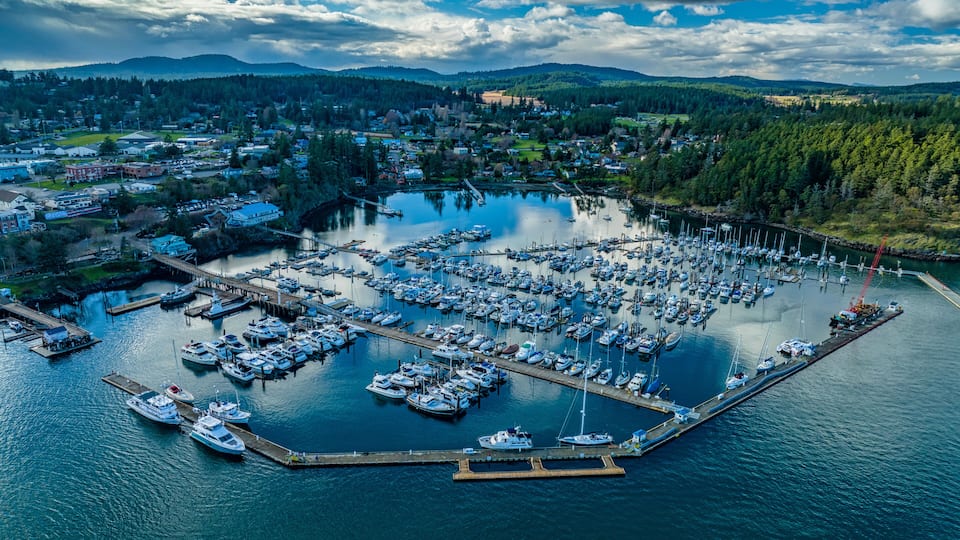 A marina with numerous boats docked, surrounded by a forested landscape and a town in the background.