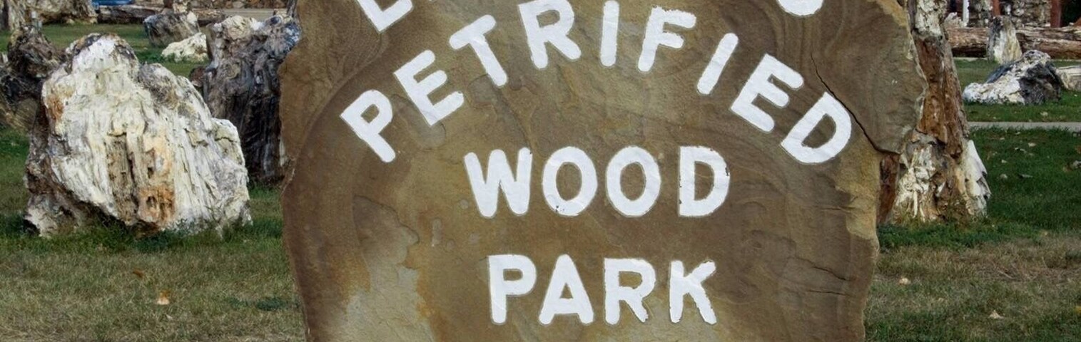 Un letrero grande de piedra con el texto "PARQUE DE MADERA PETRIFICADA LEMMON".