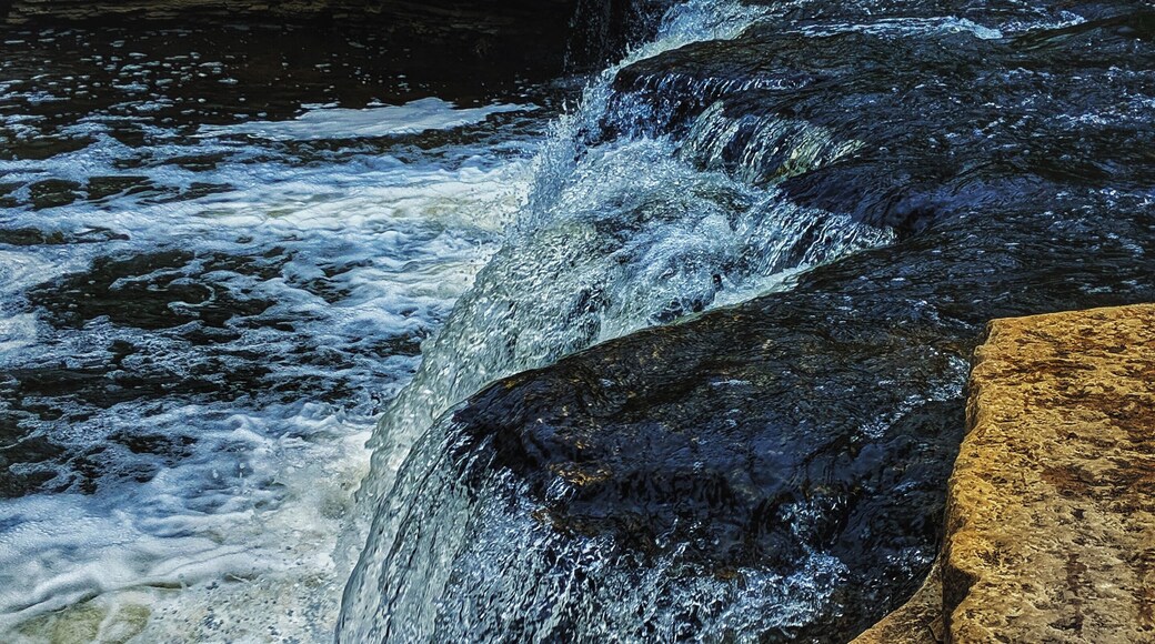 Who new Illinois has a pretty waterfall. Small but pretty. And near Chicago.