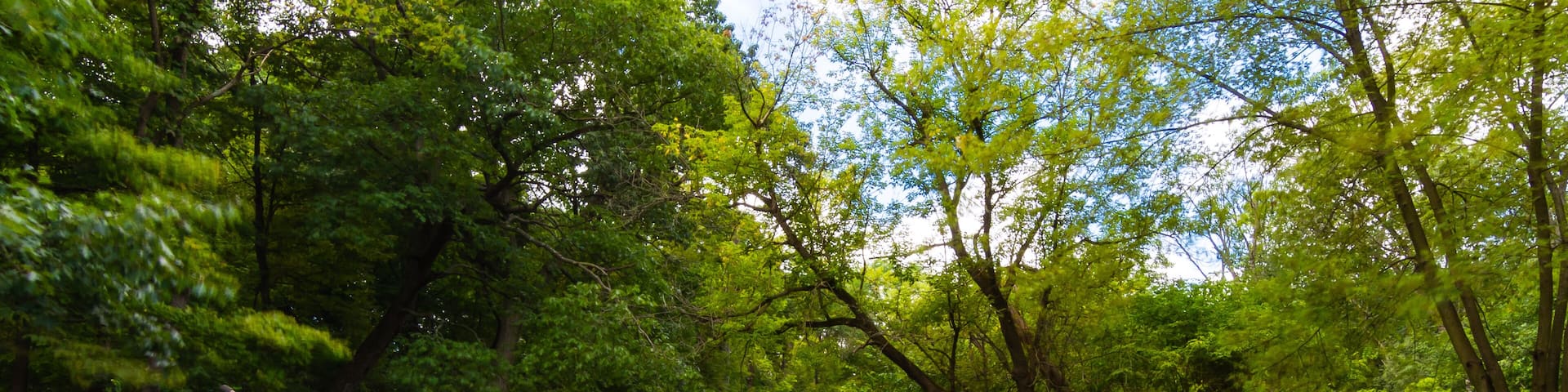 Cascade in Waterfall Glen