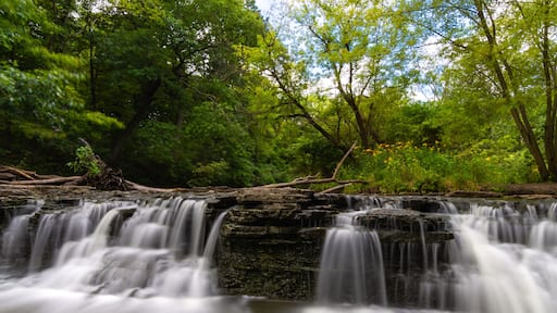 Cascade in Waterfall Glen
