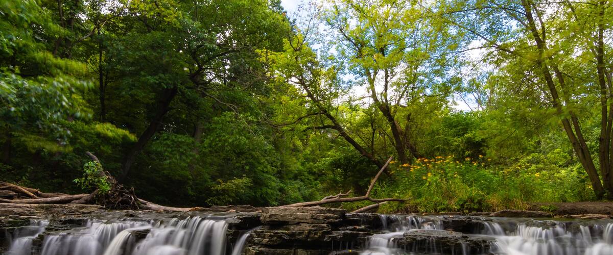 A waterfall cascading over rocks in a forested area.