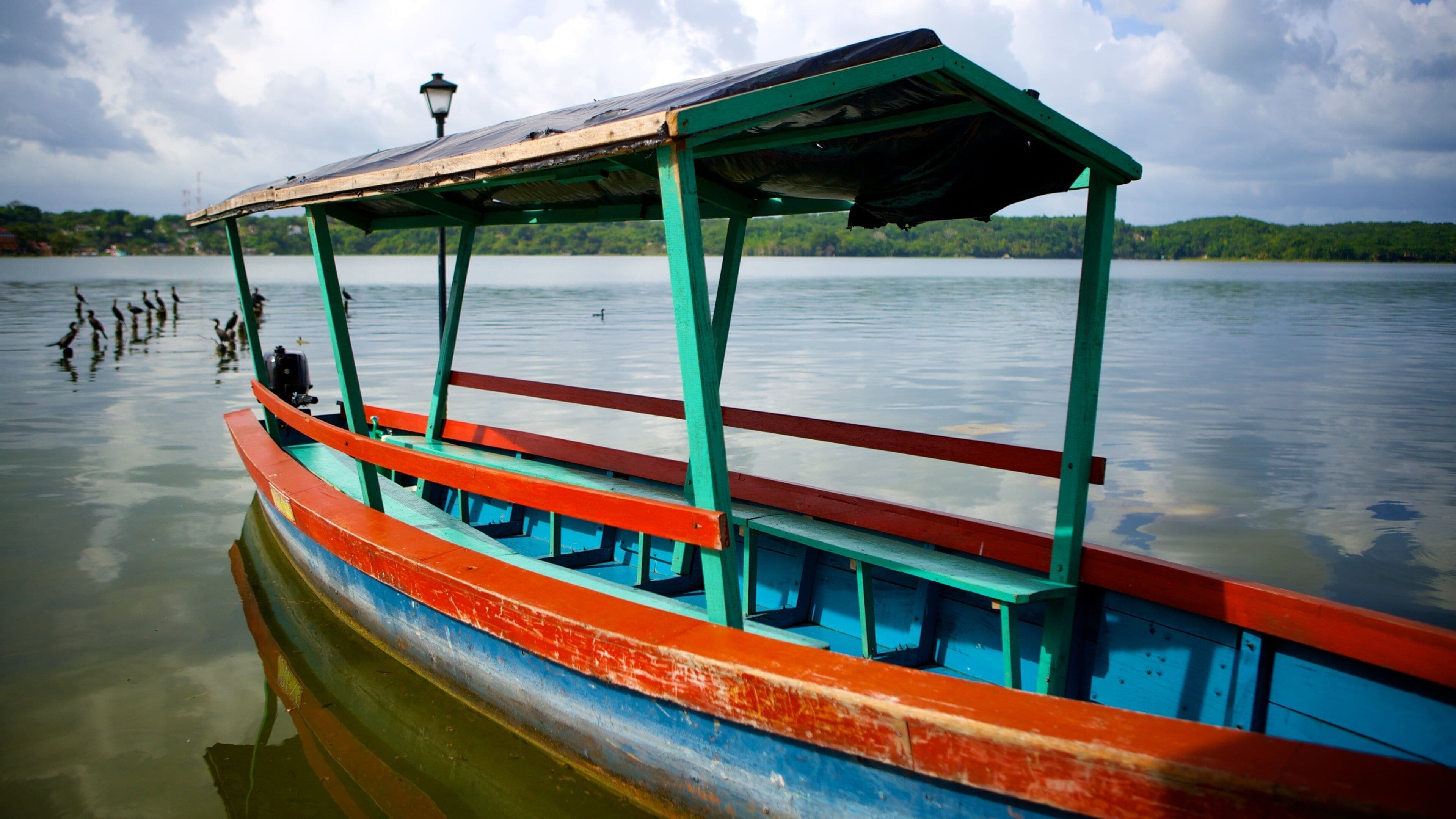 Flores which includes general coastal views and boating
