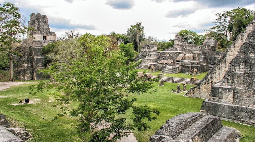 Tikal is the remains of an ancient Mayan city in the rainforest of Guatemala. It's one of the largest archaeological sites of the Mayan civilization, and it's a fascinating experience to walk amongst the ruins. #tikal #guatemala
